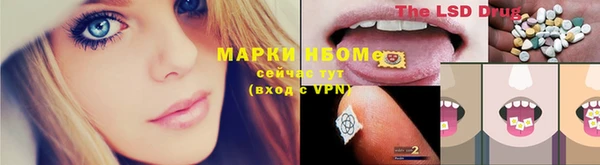 spice Алексин