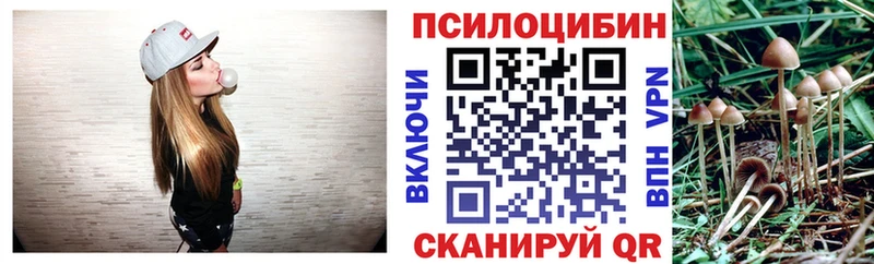 Псилоцибиновые грибы мицелий Жиздра